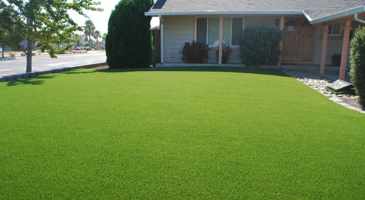 Synthetic Grass Turf